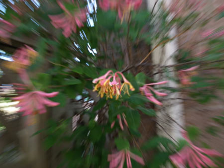 Implying Motion While Zooming